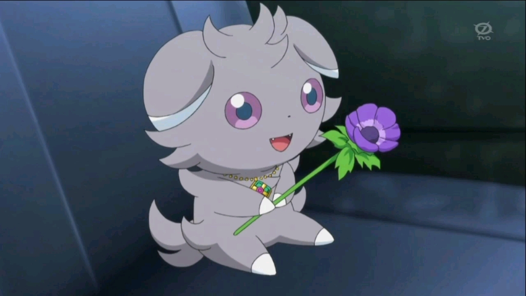 活动  妙喵:带花 我还是知道规矩的