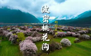 Download Video: 波密桃花｜一半是仙境，一半是人间