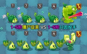 Tải video: 1-5阶僵尸豆荚VS1-5阶火鸡投手！老庄：为何这么多粉丝要看坤坤？