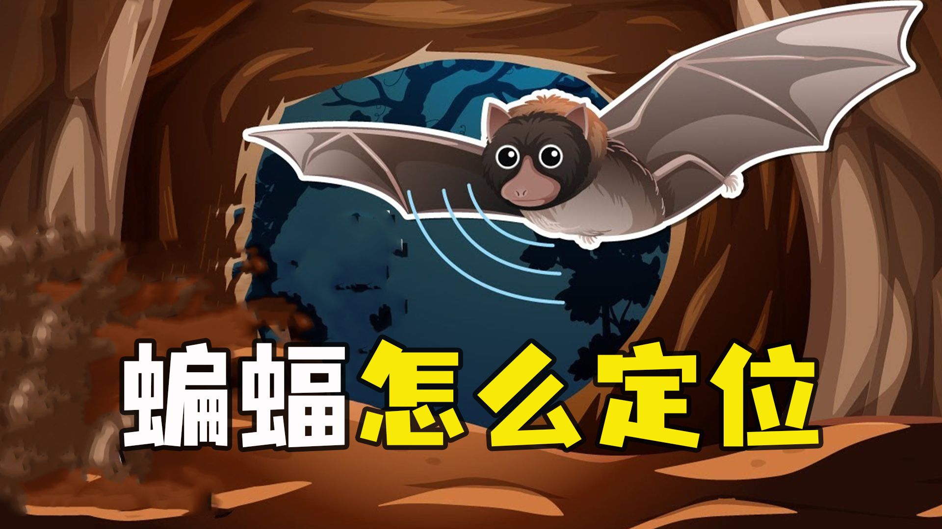 蝙蝠的视力很差,那它是靠什么来定位的?