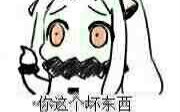 艾尔之光WS无自然夫妻局哔哩哔哩bilibili