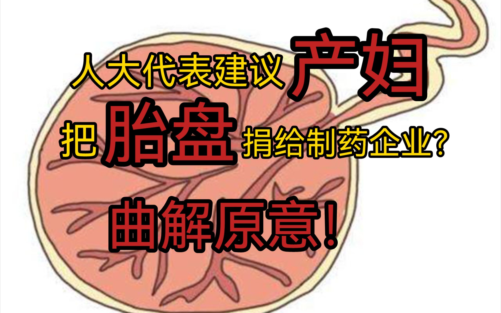 【辟谣】人大代表建议产妇把胎盘捐给制药企业制药?曲解原意,原文是:建议允许产妇胎盘捐献给药企制成药品哔哩哔哩bilibili