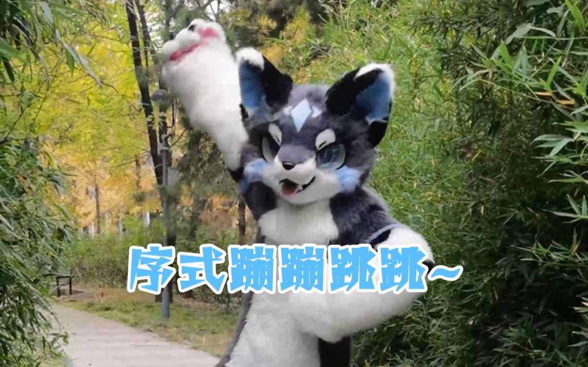 【FurSuit】序式蹦蹦跳跳~(结尾有惊喜2333)哔哩哔哩bilibili