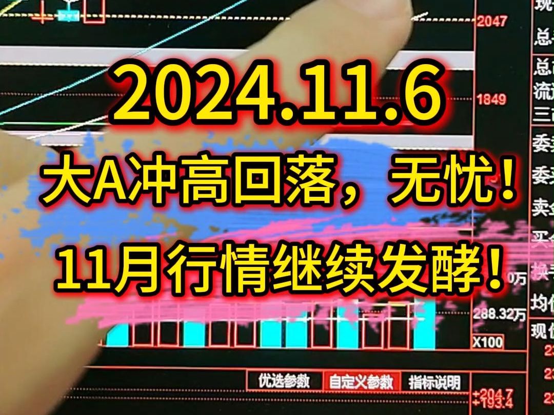 大A冲高回落,无忧!11月行情继续发酵!哔哩哔哩bilibili