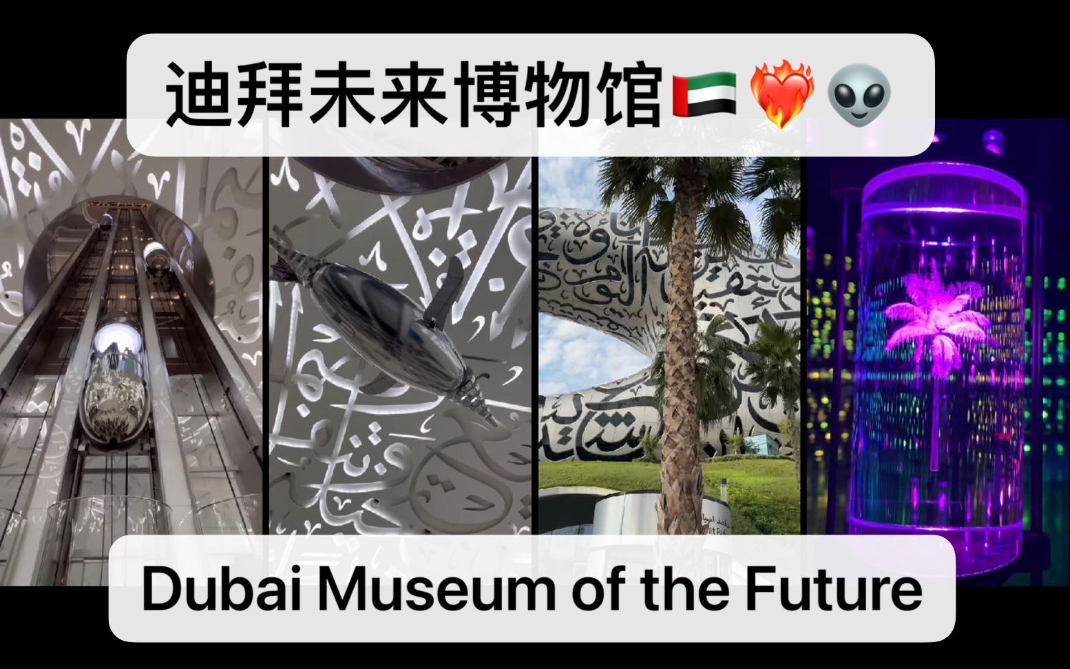 【中英双语】——迪拜高技派地标建筑!!Dubai Museum of the Future迪拜未来博物馆!!哔哩哔哩bilibili