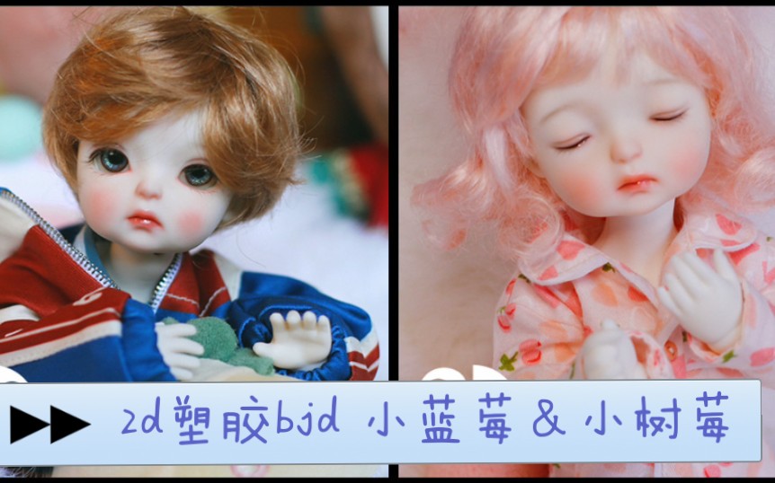 【卡卡】238元就能买到的bjd正版娃娃你见过吗? 2ddoll 6分bjd塑胶娃娃小蓝莓&小树莓 开箱repo&肤色对比哔哩哔哩bilibili