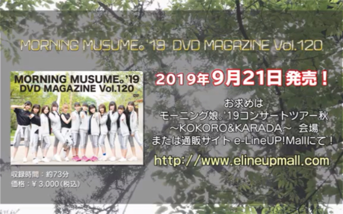 モーニング娘 19 Morning Musume 19 Dvd Magazine Vol 1 Cm 哔哩哔哩 つロ干杯 Bilibili