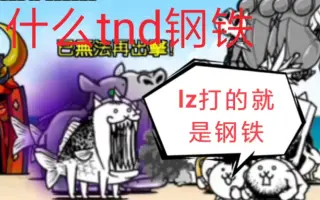 狂乱鱼猫 搜索结果 哔哩哔哩 Bilibili