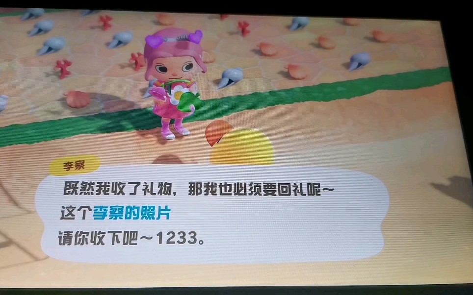 惊喜动物之森获得李察的照片李察也高兴的玩起了球12