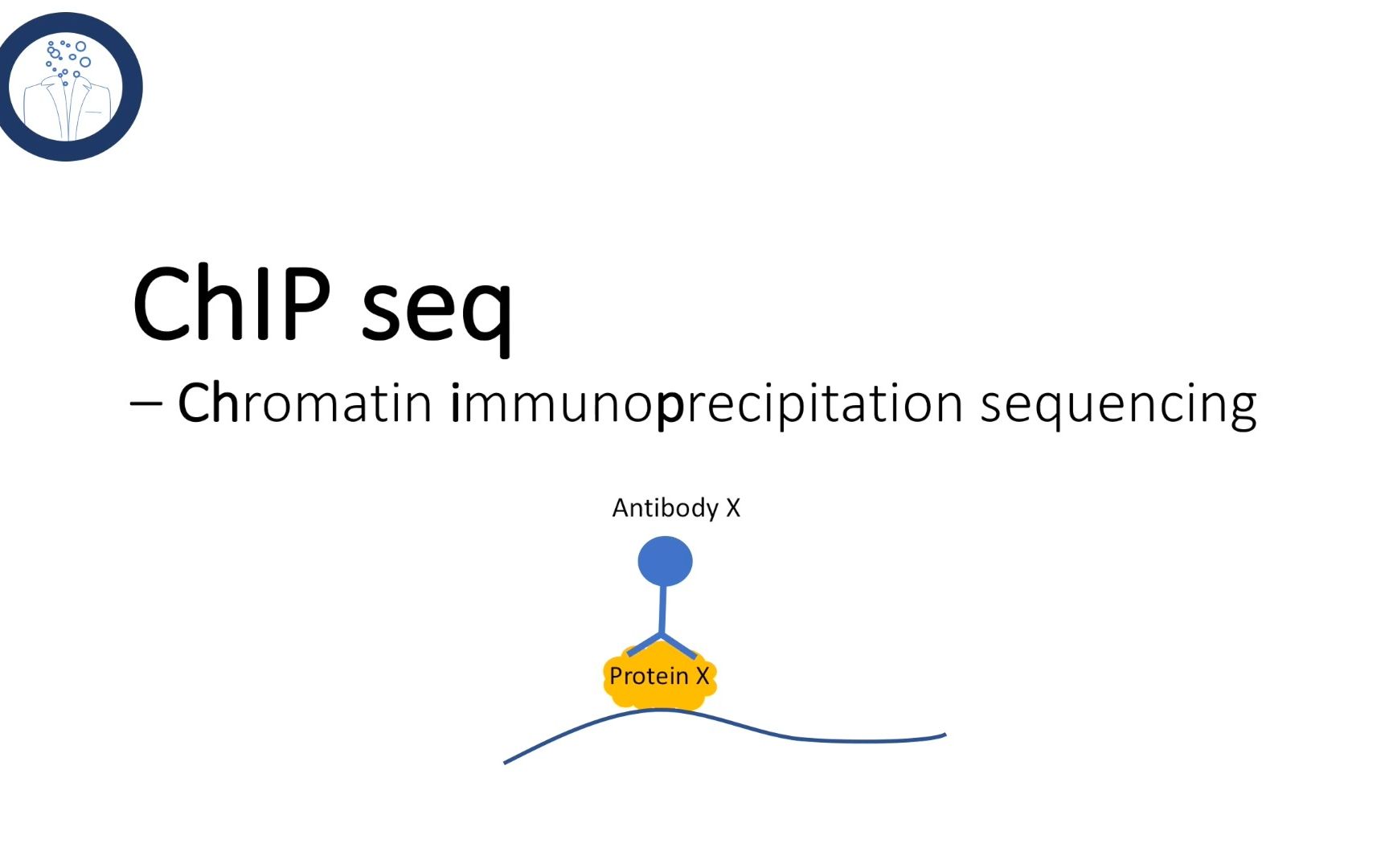 【分子生物学指南】chip seq - 染色质免疫共沉淀测序chromatin