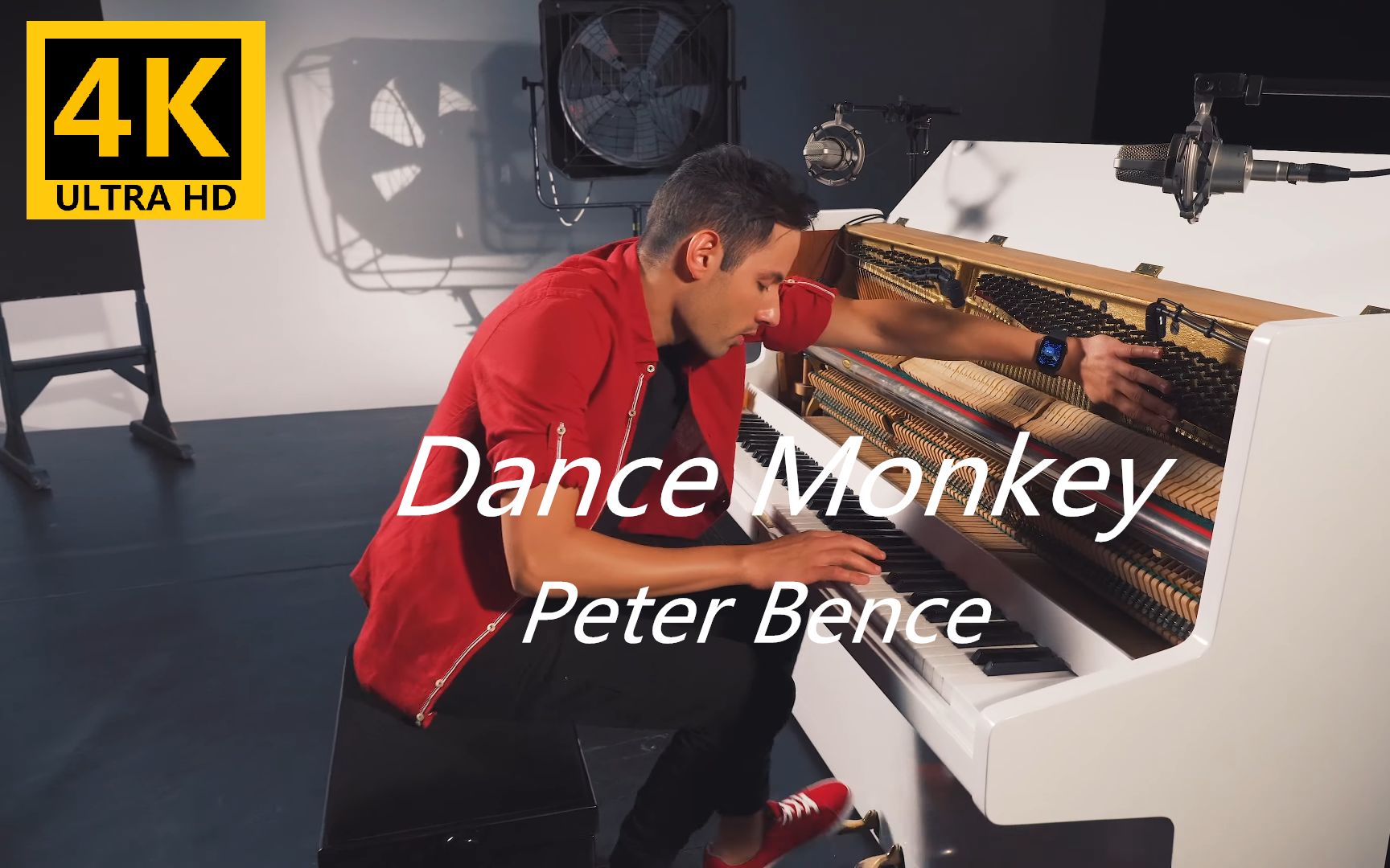 [图]【4K】全网最秀最好听的 DANCE MONKEY - Peter Bence （Piano Cover）