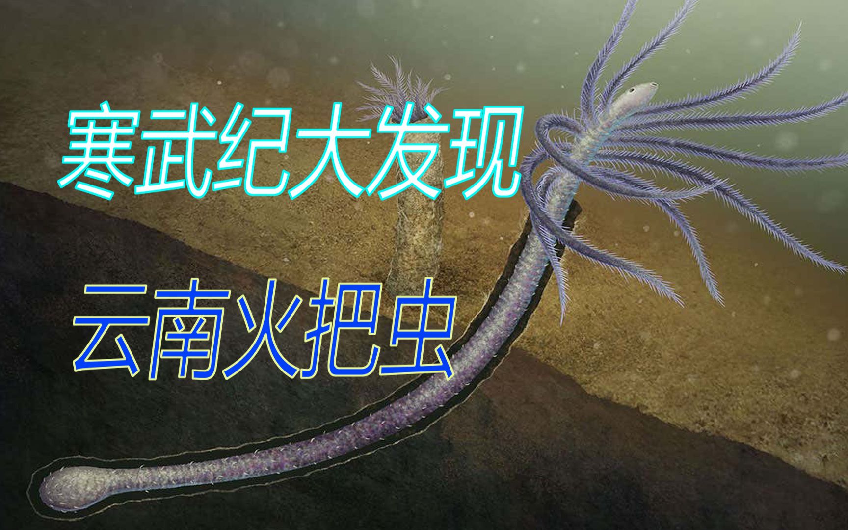 兰熊的科普时间寒武纪大发现揭秘云南火把虫