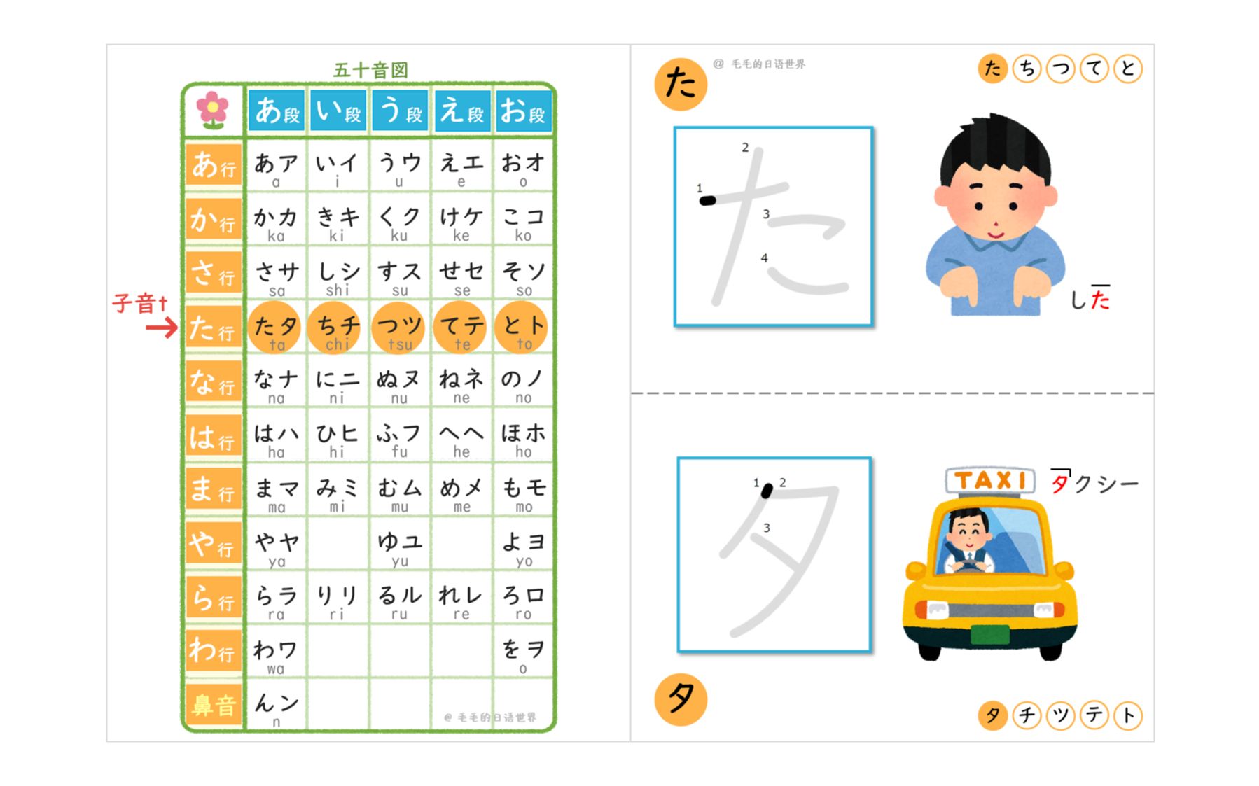 日语学习|五十音 发音ⷮŠ笔顺写法ⷨ𞋣€た・タ行】哔哩哔哩bilibili