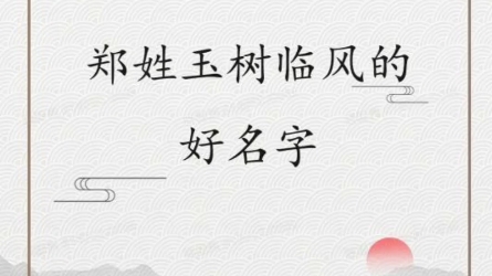 郑姓玉树临风的好名字~哔哩哔哩bilibili