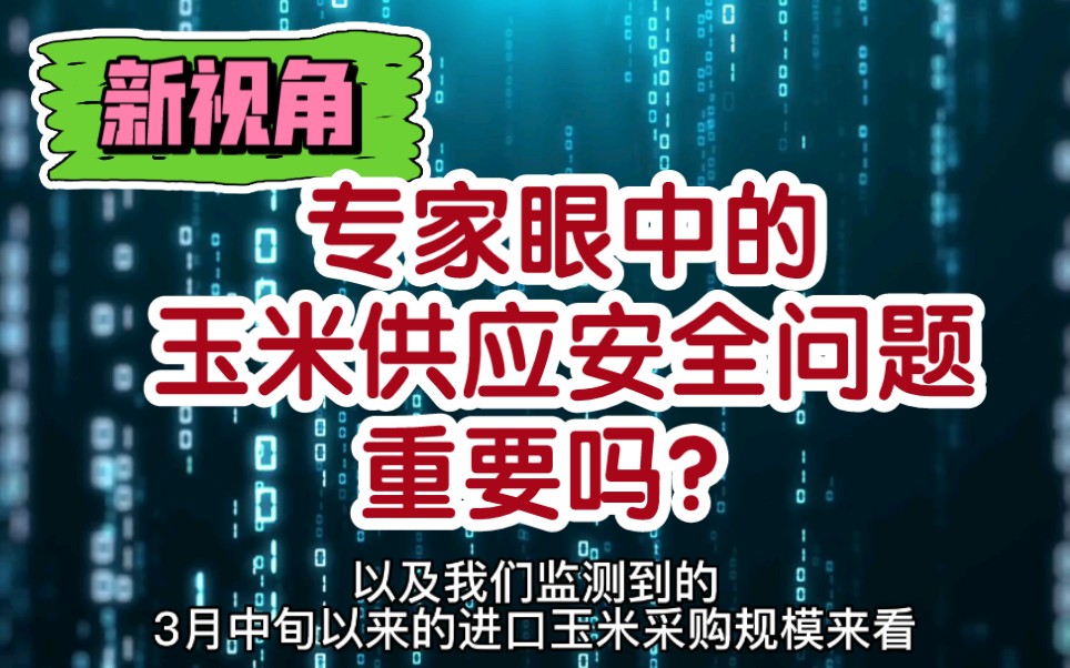 新视角:专家眼中的玉米供应安全问题重要吗?哔哩哔哩bilibili