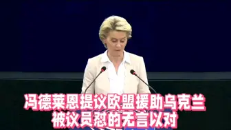 下载视频: 冯德莱恩提议欧盟援助乌克兰，被议员怼的哑口无言