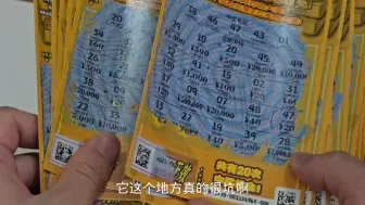 Tải video: 点石成金编号6965，整本情况，目前是60×2+20×7，260块钱，还差7张