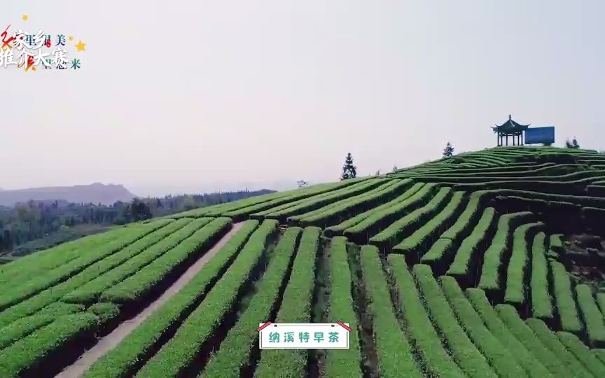 1541.纳溪:纳溪风景(航拍)横版哔哩哔哩bilibili