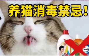 Descargar video: 养猫消毒禁忌！别让消毒变中毒！