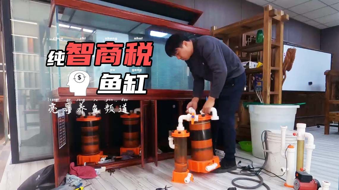 集成式无管件底滤鱼缸改造全纪录—亮哥养鱼频道