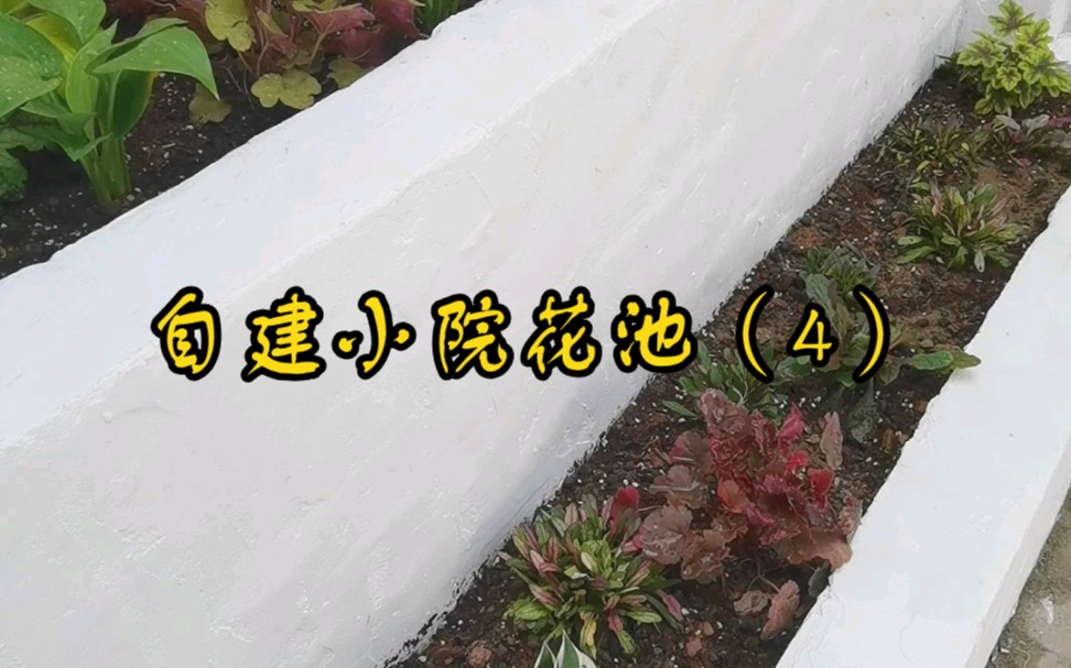 自建小院花池(4)哔哩哔哩bilibili