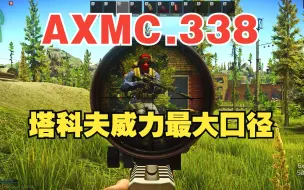 Download Video: AXMC.338专场 673米一枪毙敌