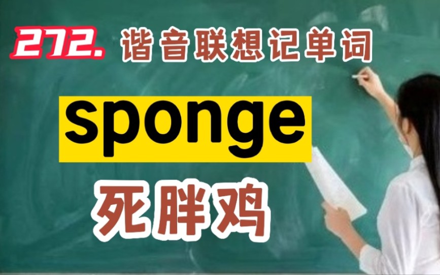 272.谐音联想记单词sponge哔哩哔哩bilibili