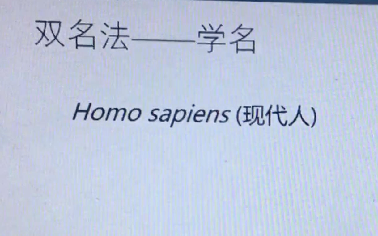 24岁,是初二学生,在上被homo入侵的生物课哔哩哔哩bilibili