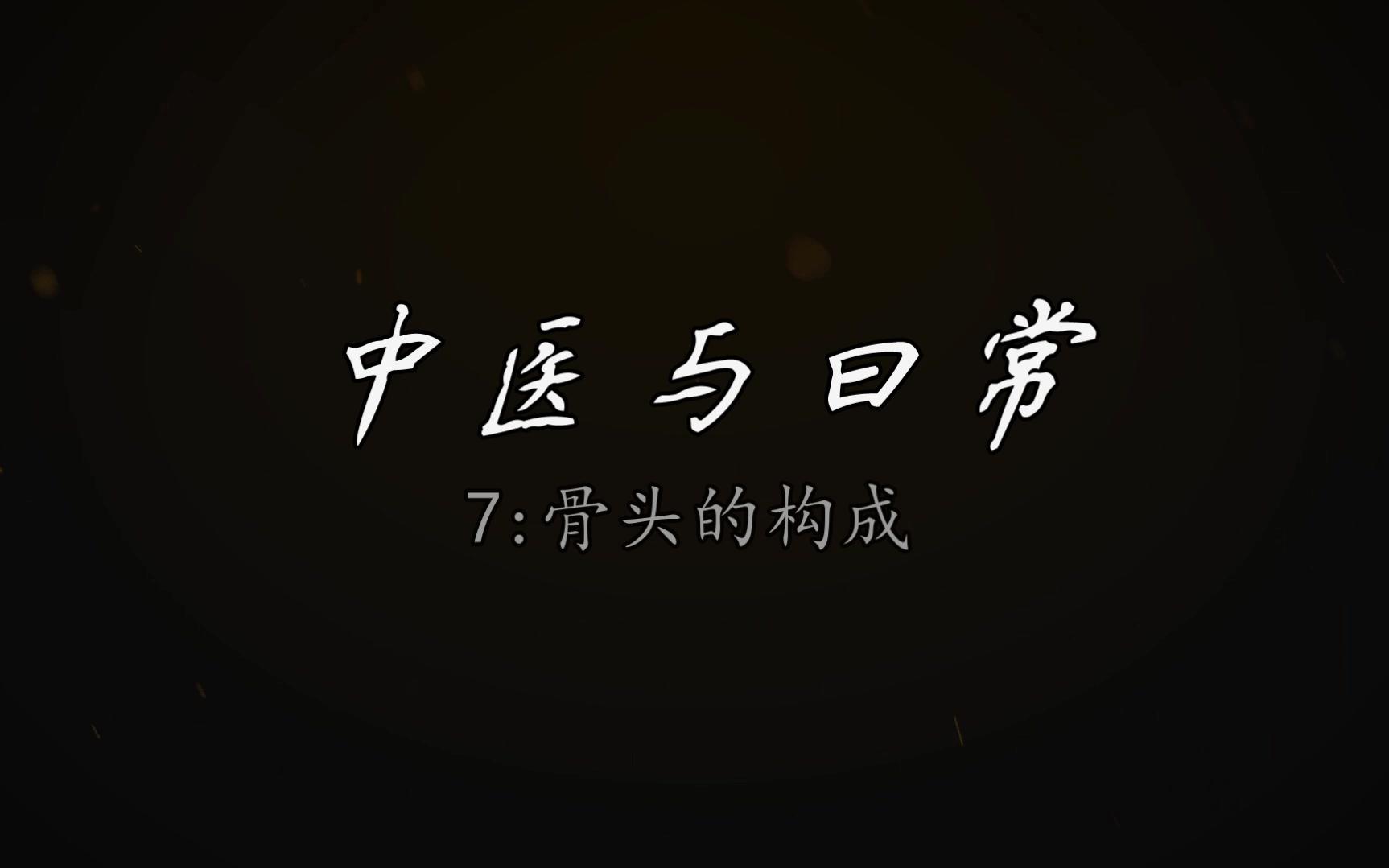 7骨头的构成哔哩哔哩bilibili