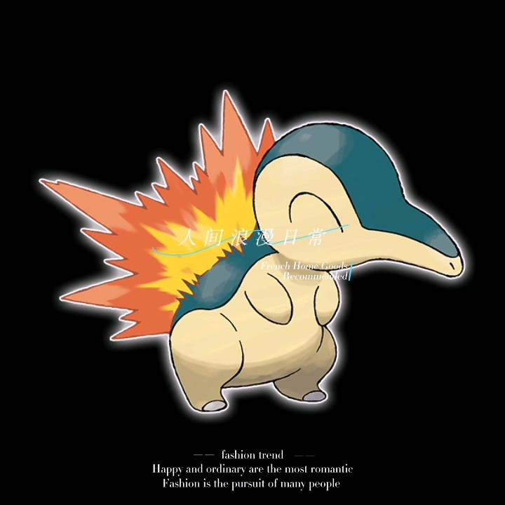 宝可梦 图鉴 0155 火岩鼠