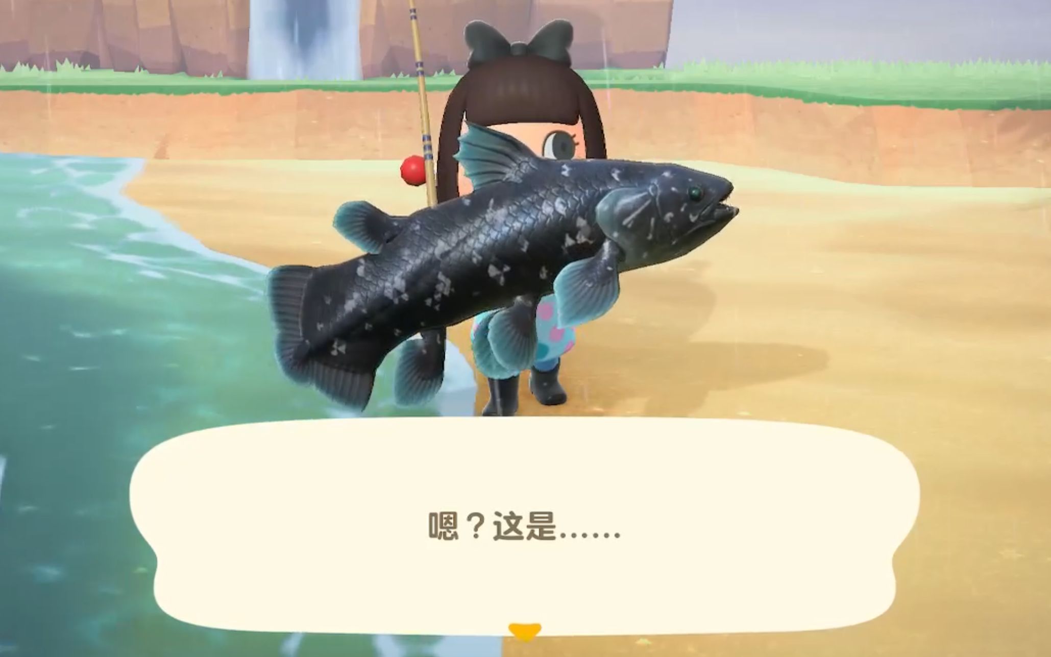 钓 矛尾鱼 动物之森_哔哩哔哩_bilibili
