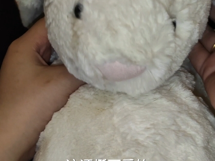 jellycat兔子哔哩哔哩bilibili