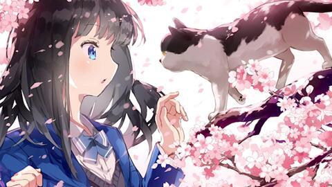 さくらひらり 哔哩哔哩 Bilibili