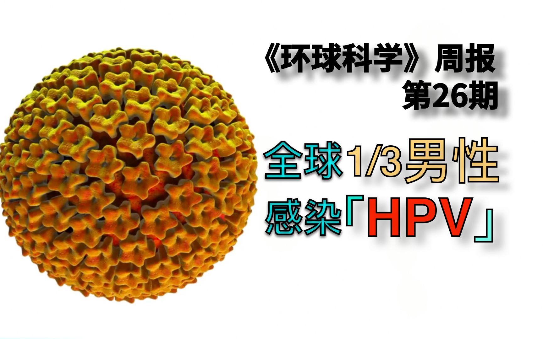 全球近1/3的男性感染了HPV，1/5男性感染了至少一种高危亚型HPV｜《环球科学》周报026