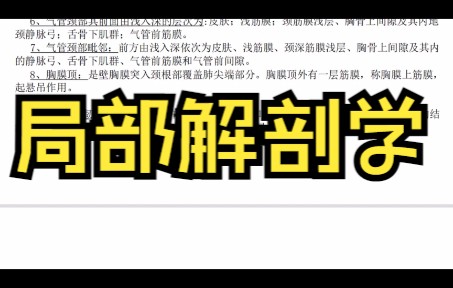 学习资料,(局部解剖学)专业课重点整理哔哩哔哩bilibili