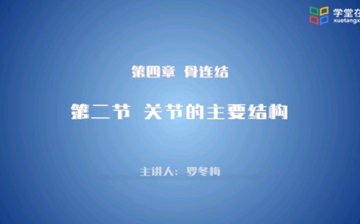 运动解剖学骨连结关节的主要结构哔哩哔哩bilibili