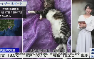 桧山沙耶 搜索结果 哔哩哔哩 Bilibili 桧山沙耶 搜索结果 哔哩哔哩 Bilibili