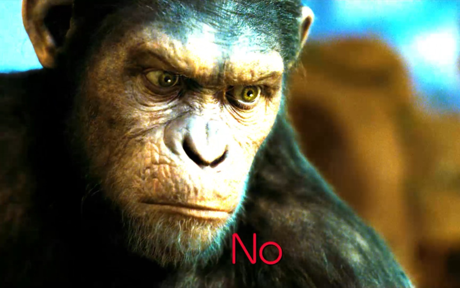 当凯撒说出no的时候,就没人类什么事了