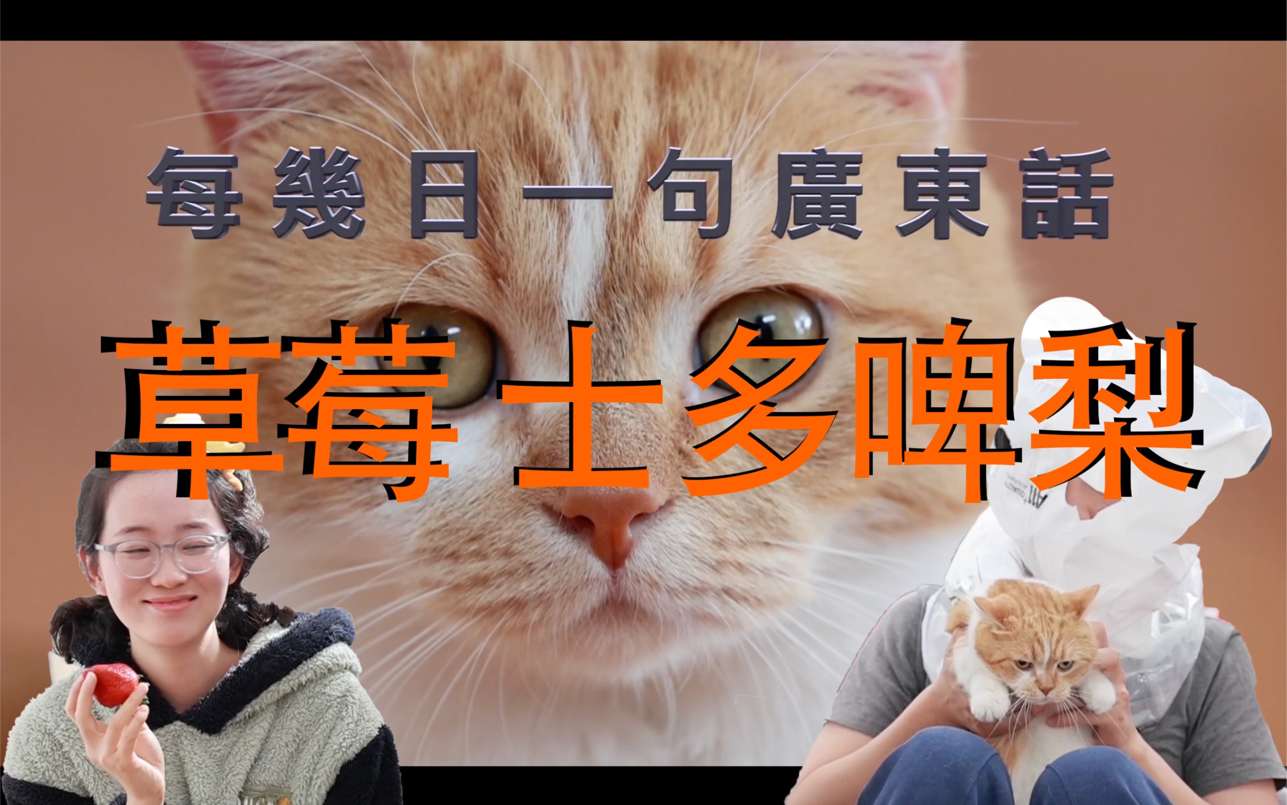 跟着猫咪学粤语91草莓02士多啤梨