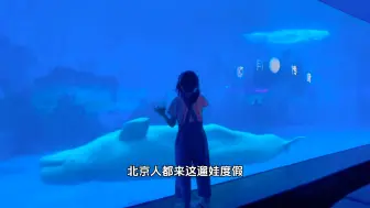 Download Video: 北京的海洋馆玩腻了？那就来天津极地海洋度假区，一整天玩不够