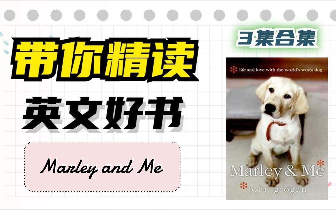 带你精读 英文好书【Marley and Me】英语阅读|精读|英语词汇|英语语法哔哩哔哩bilibili