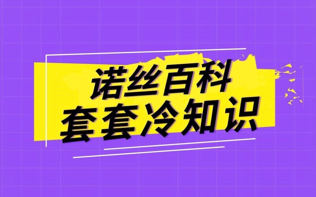 诺丝百科第19弹:你什么尺寸?哔哩哔哩bilibili