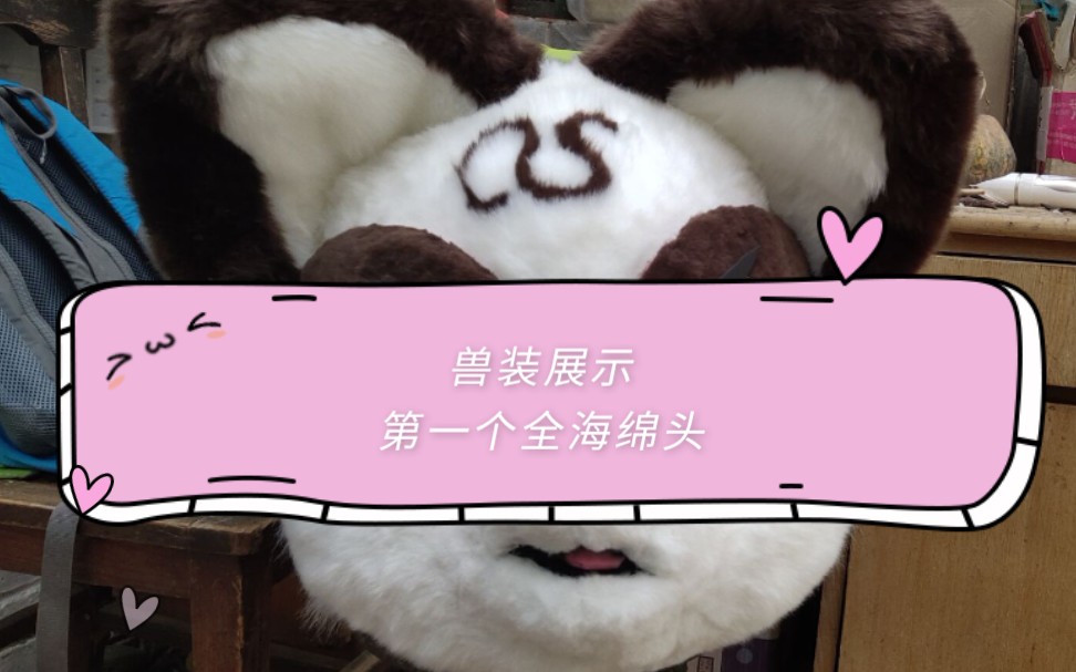 兽装展示第一次全海绵头本体玺子哥