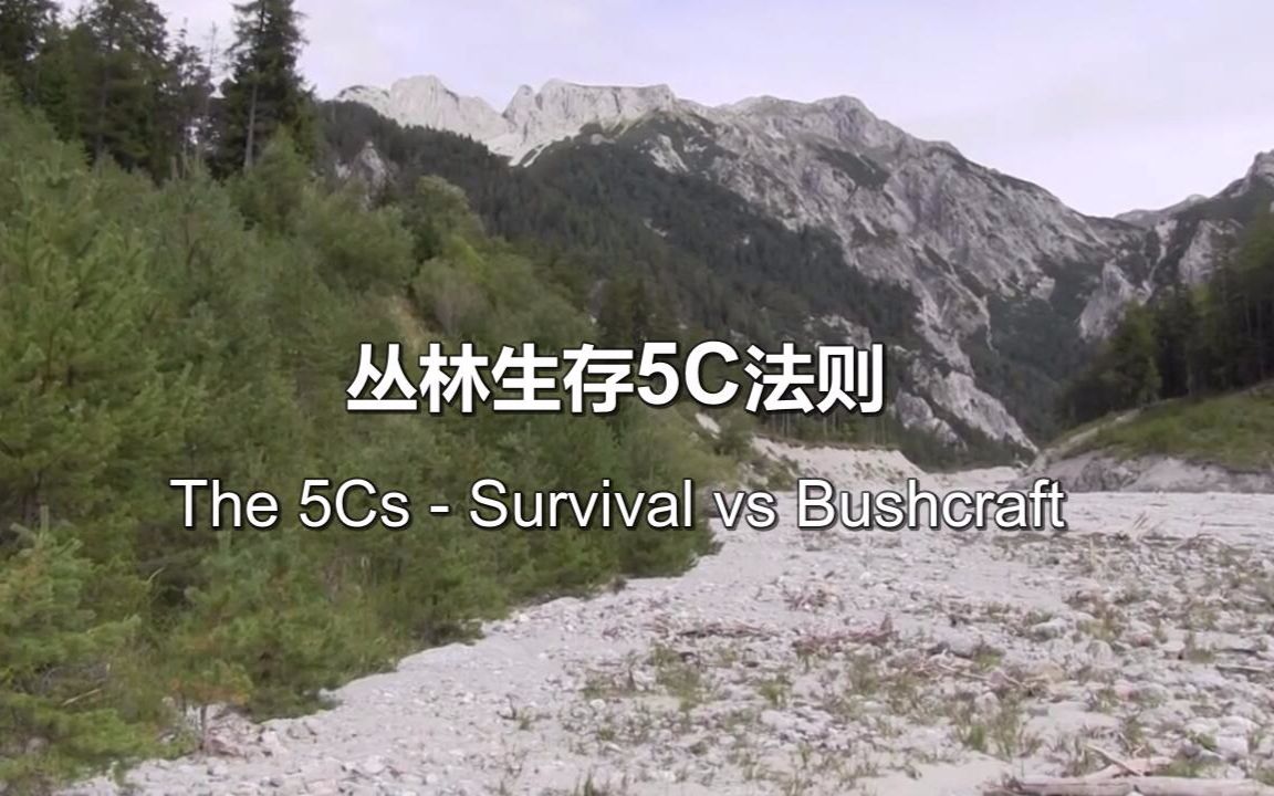 【中英双语字幕|Survival Lilly】丛林生存5C法则 The 5Cs  Survival vs Bushcraft哔哩哔哩bilibili