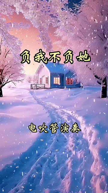 《负我不负她》完整版哔哩哔哩bilibili