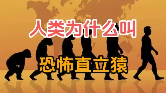 人类为什么被称为恐怖直立猿而称霸地球？