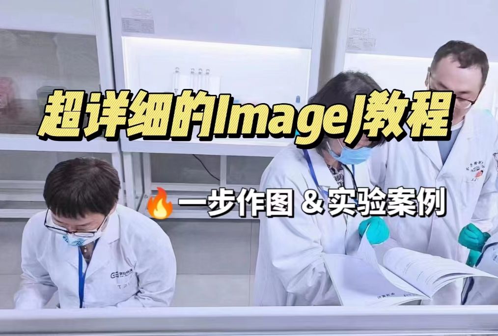 超详细的ImageJ教程,一步作图,小白也能快速出图,顺利发表SCI(上)哔哩哔哩bilibili