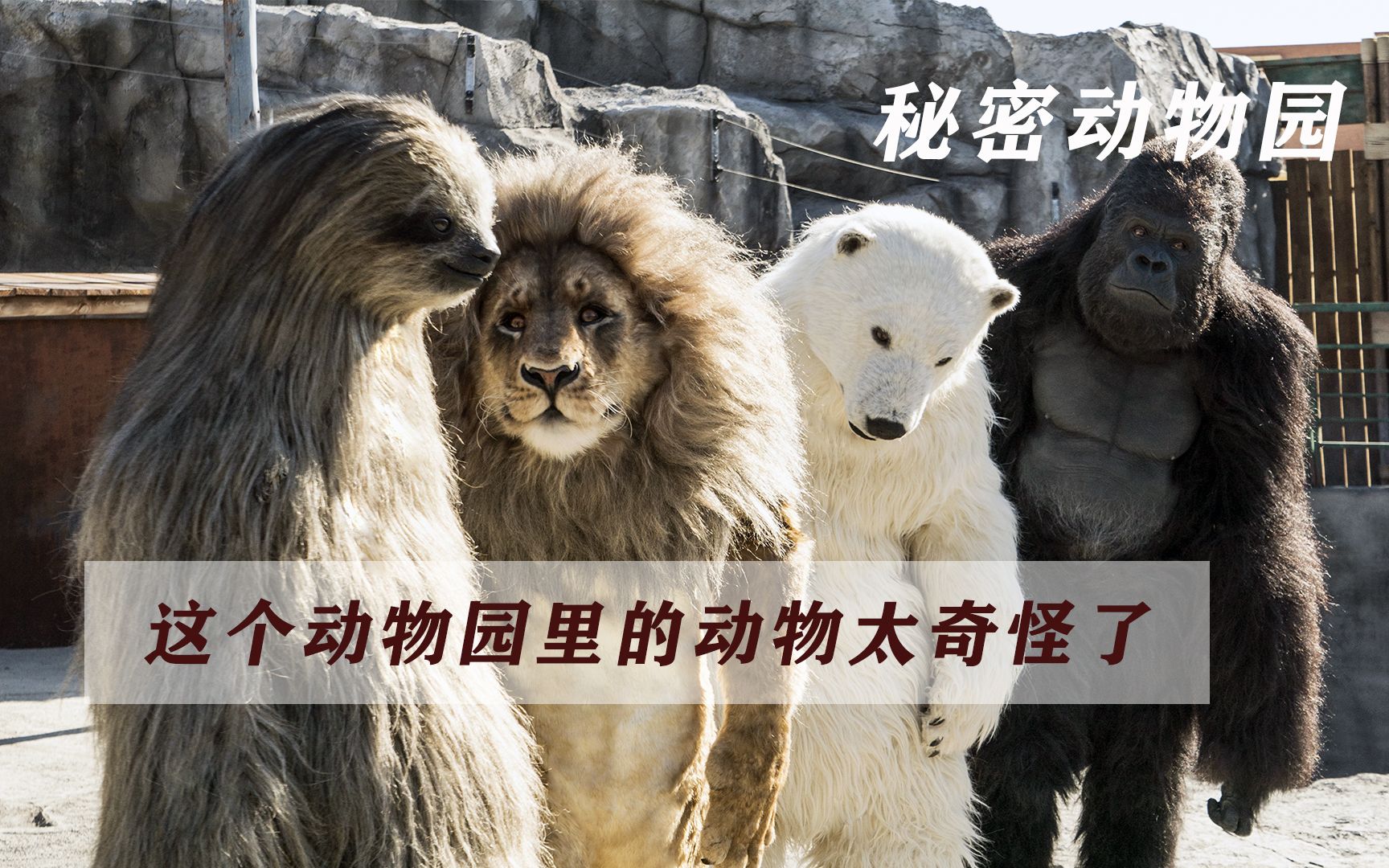 秘密动物园这个动物园里的动物太奇怪了1
