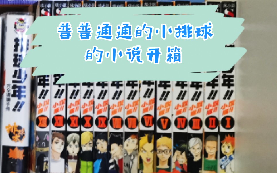 【排球少年】113小说开箱哔哩哔哩bilibili