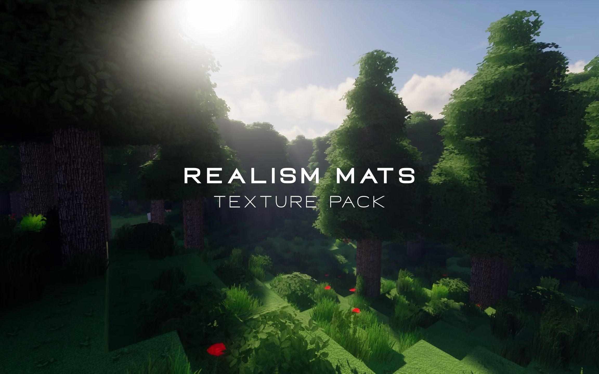 我的世界 1.17 现实材质! | Realism Mats 纹理包和 Kappa光影_我的世界